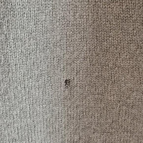 Spring Into Cashmere Juicy Couture Kelly Green Sweater Dress - Picture 7 of 8